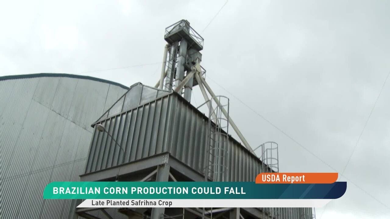 USDA Releases New Supply & Demand Numbers