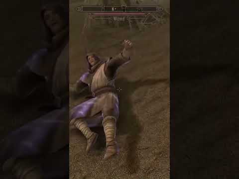 Saving flying wizard. Skyrim AE