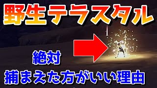 【ポケモンSV】野生テラスタルポケモンは絶対捕まえた方がいい！？その理由を解説！【ゆっくり実況】