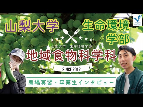 生命工学科 地域食物科学科　農業実習・卒業生インタビュー