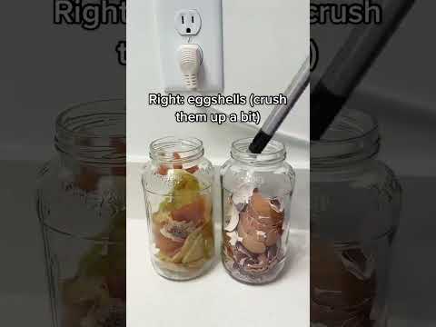 DIY Nutrient Water for Plants  - Use Kitchen Scraps to Feed Your Plants | DIY Fertilizer