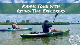 Marco Island Tours to Do: Mangrove and Mudflats Kayak Tour with Rising Tide Expl