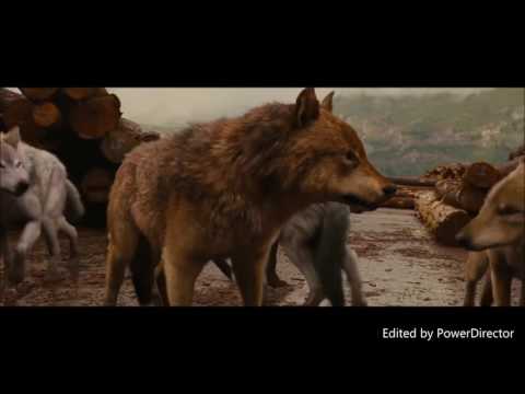 Twilight Wolves - The Hills