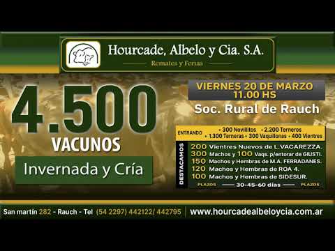 20-03-20 - Hourcade, Albelo y Cía en Rauch - 4.500 Vacunos