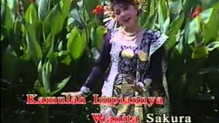 Download lagu Sakura Teng Greatest Hits - Bunga Sakura mp3