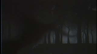 ZZZ's Music Video