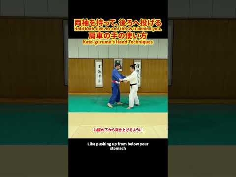 【両袖から肩車】うしろは投げるための手の使い方#柔道 #judo #投技 #立技 #肩車 #両袖 #柔道技解説 #組手 #崩し #柔道上達 #judotechnique #shorts