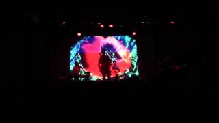 Gypsy &amp; the Cat Bloom