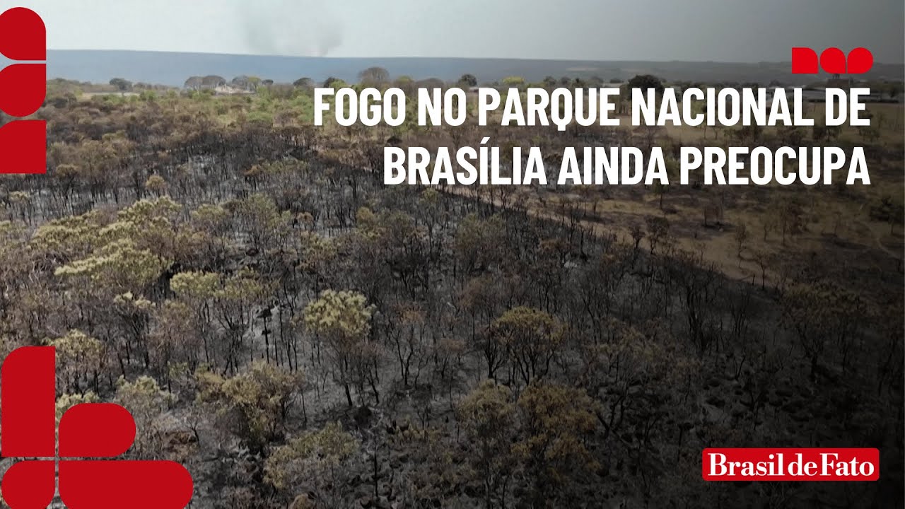 Fogo no Parque Nacional de Brasília ainda preocupa