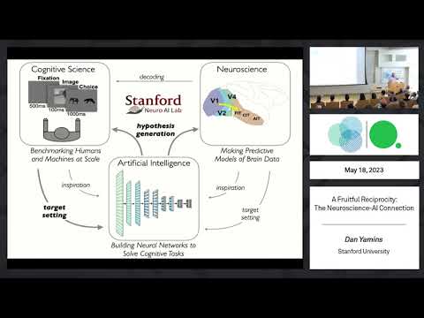 A Fruitful Reciprocity: The Neuroscience-AI Connection