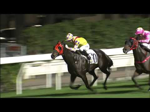 2/12/2020 (233) Ready Conqueror -  J Moreira