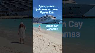 Один день на райском острове Оушен Кей на Багамах #oceancay #bahamas #mscdivina #umarkeyn #4k