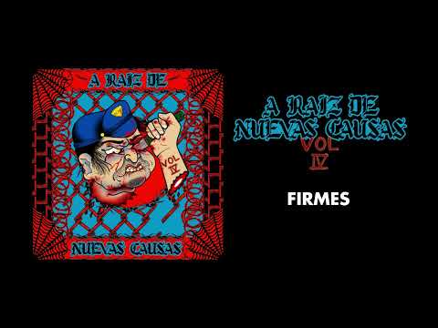 A RAÍZ DE NUEVAS CAUSAS - FIRMES