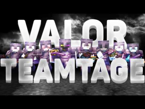 Valor Teamtage Lsn