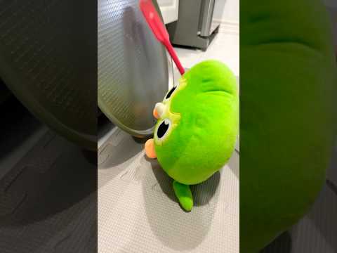 Viral Duo Owl Funny IRL Chaos 🦉 Totally Unexpected Fails