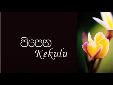 Ayati - Journey so far...