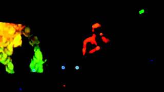 Nurse With Wound live excerpt Prague 30.04.2010 (feat. Petr Ferenc)