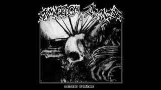 Armagedom / Nuclear Frost _Split 7 