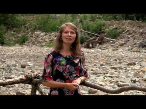 Dan Renata - Din cerul plin de dor (God will make a way)