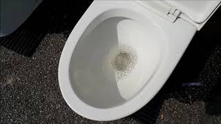 Toilet bowl Flush - Washdown or Siphonic