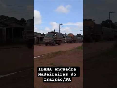 Carros do Exército 🪖 Retira Madeira presa pelo Ibama no Trairão (o povo chorou) #getuliofreire
