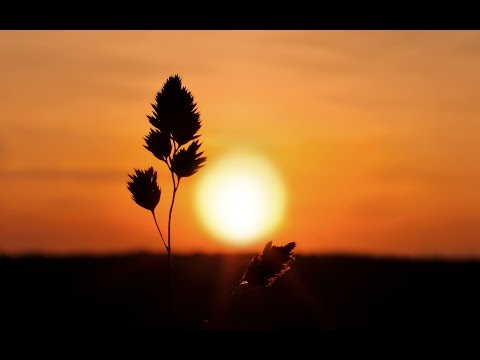Sunset With Instrumental Raga Bhopali - ( Sitar - Santoor - Flute - Tabla ) - by roothmens