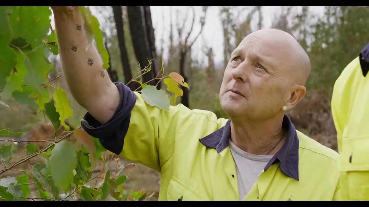 Restoring Nutritional Landscapes with Australia National University - East Gippsland