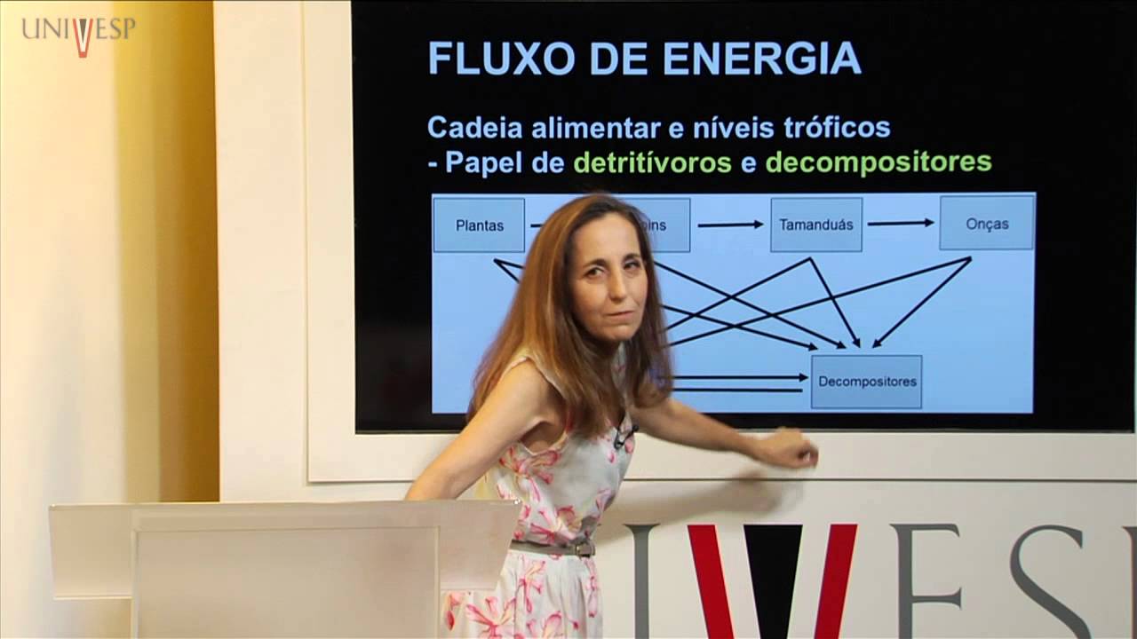 Biologia Geral - Aula 27 - Ecossistemas