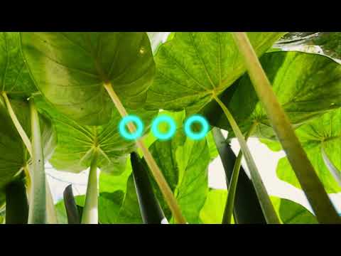 Jethro - Ofisa He Motu (Cover)