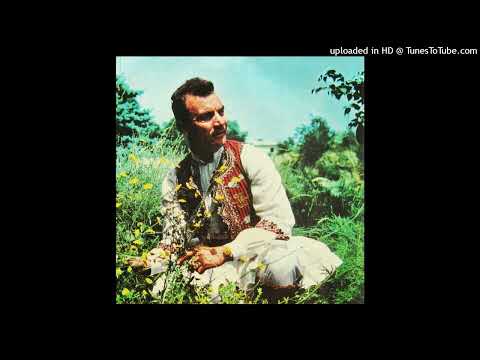 Nikola Badev so Čalgiite - Do tri mi puški puknaa