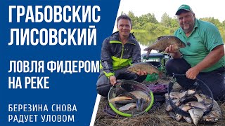 Ссылка