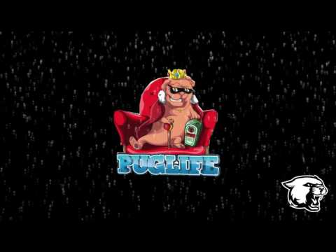 Alfons - Puglife 2016