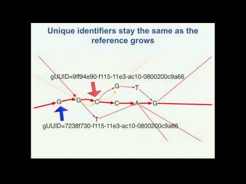 Molecular Characterization for Diagnoses and Treatment