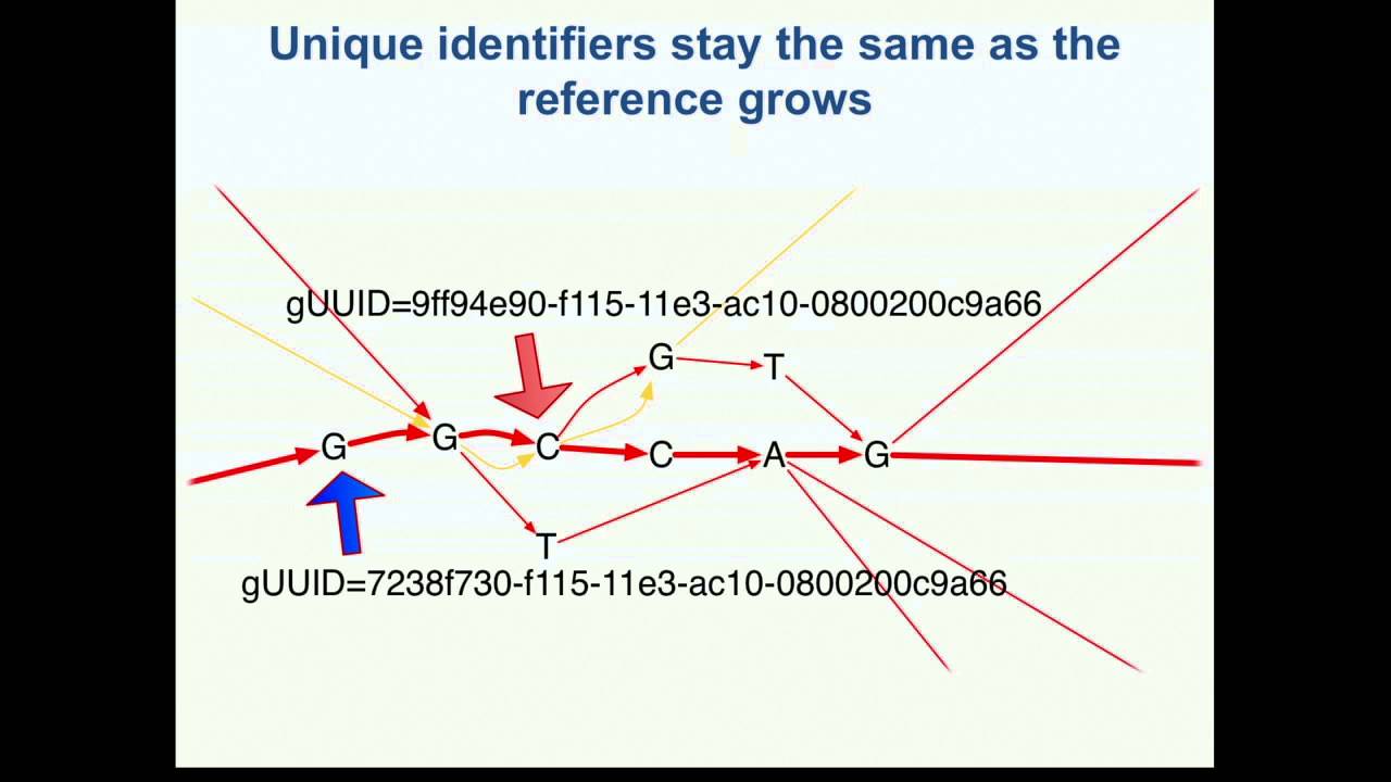 Molecular Characterization for Diagnoses and Treatment