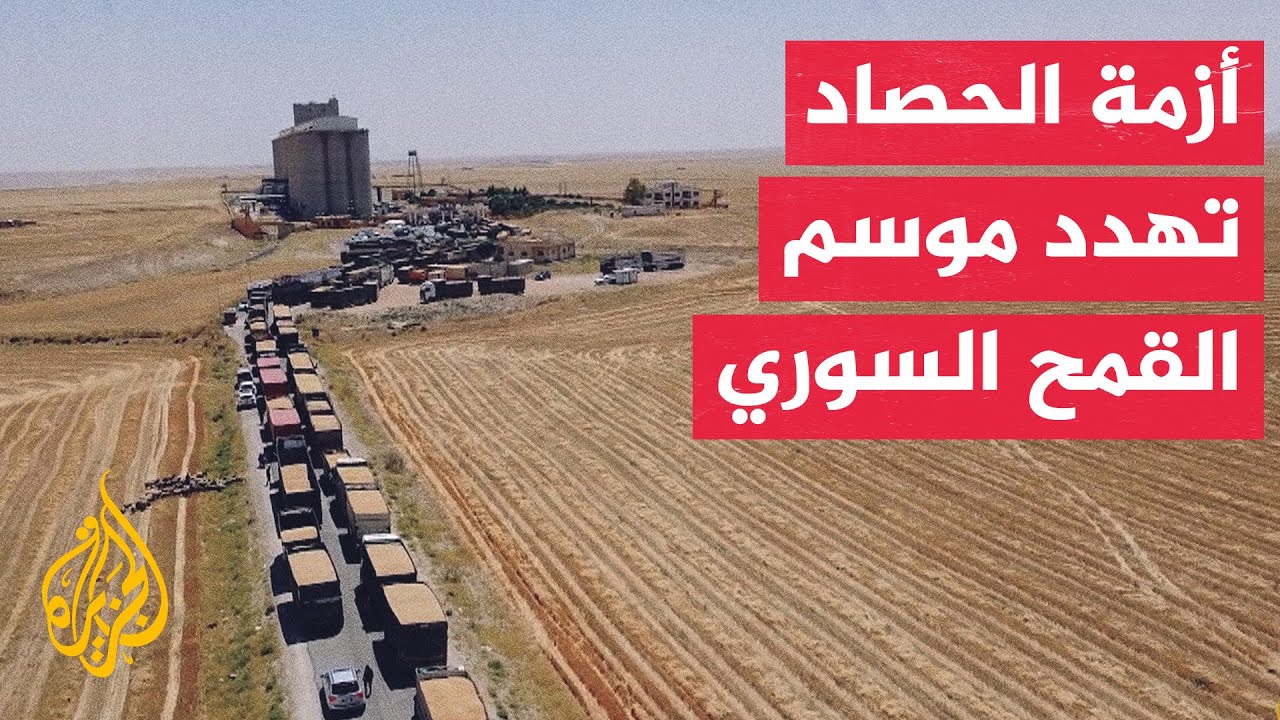 سوريا.. توقعات بتجاوز إنتاج القمح مليون طن خلال هذا الموسم