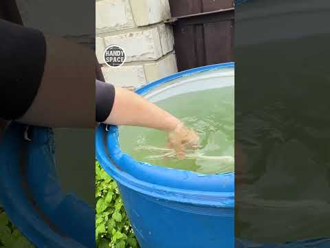 Physics Works! A PVC Pipe Trick That Helps Farmers — and More! #farming