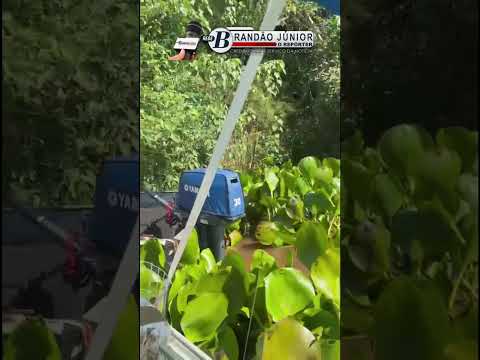 Corpo de estudante que estava desaparecido nas águas do rio Paraná foi encontrado nessa manhã