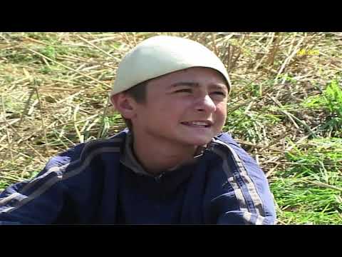 Humore të pa harruara