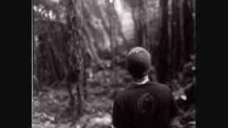 Celtic Voyager - I still hear your voice lyrics slideshow