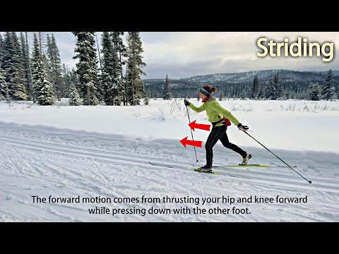 Basic Classic Ski Techniques: Striding