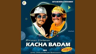Kacha Badam-Gujarati song artwork