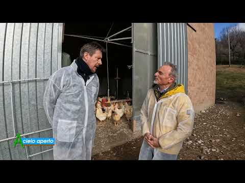 Puntata del 21-1-24 - 2° parte ALLEVAMENTO DI CAPPONI