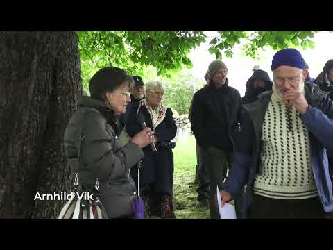 Vandring på Vik kyrkjegard - Andreas K. Vik og Arthur G. O. Osnes