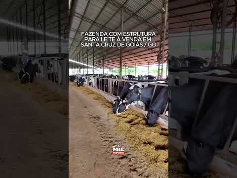 FAZENDA COM ESTRUTURA PARA LEITE À VENDA – SANTA CRUZ DE GOIÁS, 89 HECTARES #fazendaavenda #agro