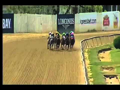 Pimlico 05/15/15 race 2