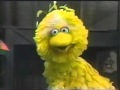 Sesame Street Episode 1740