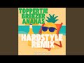 Toppertje Breezer Ananas (Hardstyle Remake/Remix)