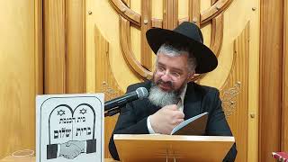 ביעור חמץ - ברית שלום הרצליה ו' ניסן התשפ"ו