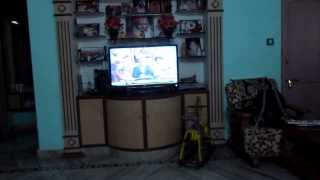 Sachin -Gnandatta 18 months boy watching Cricket match live