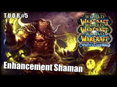 The Underdogs Of Raiding #5 - Enhancement Shaman